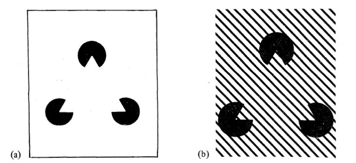 Kanizsa Shapes